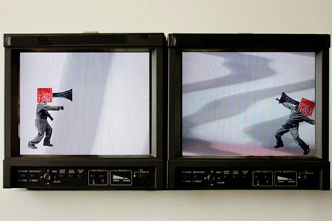 Better Living Through Antagonistic Acoustics