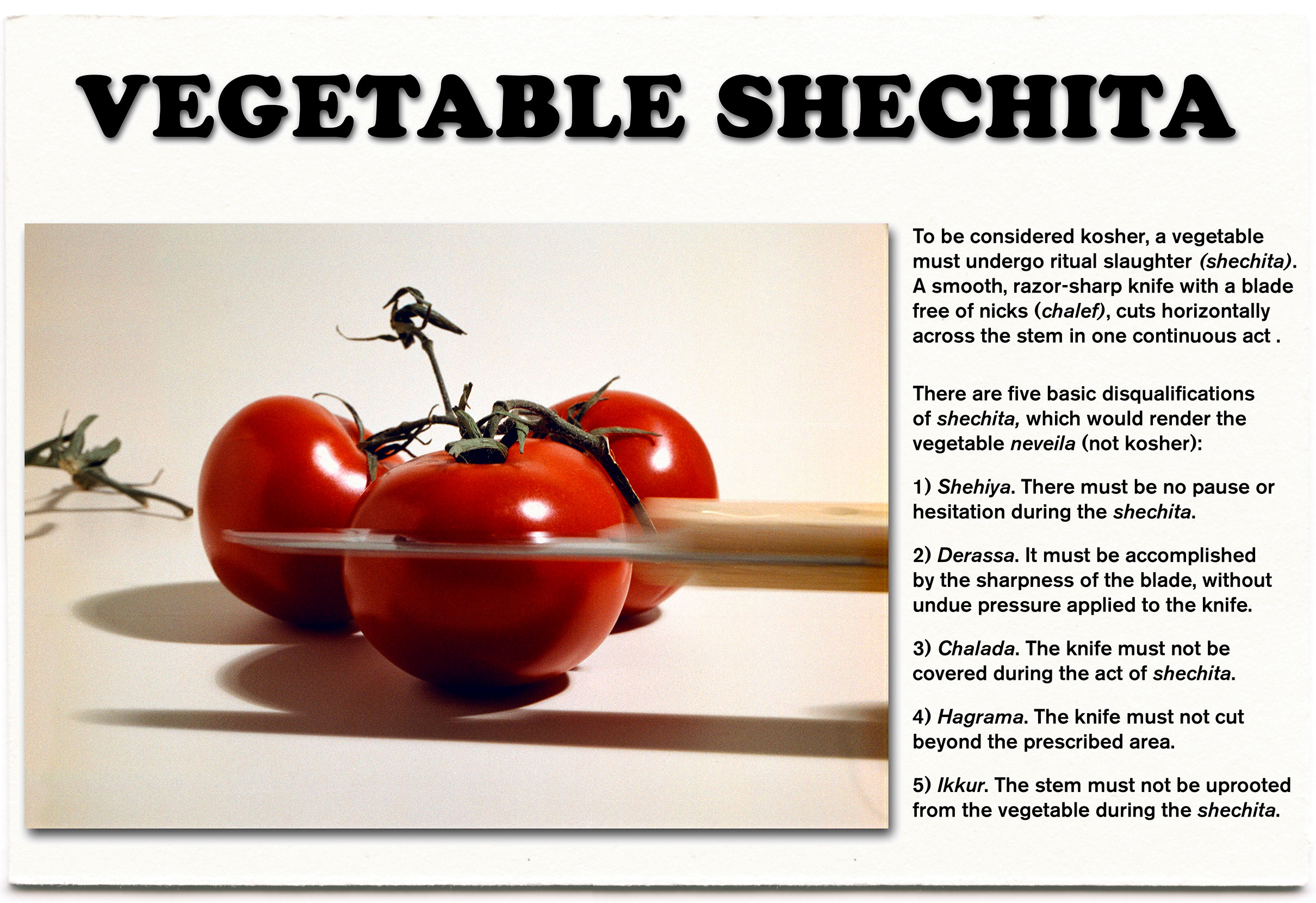 Vegetable Shechita